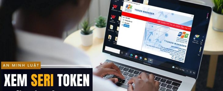 Cách tra cứu số seri token chữ ký số fpt-ca