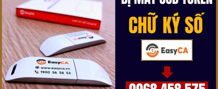 bị mất usb token chữ ký số easyca